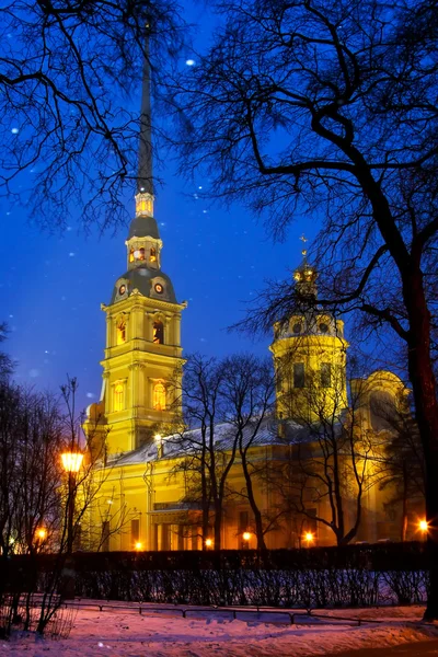 Sankt Petrus och Pauls katedral — Stockfoto