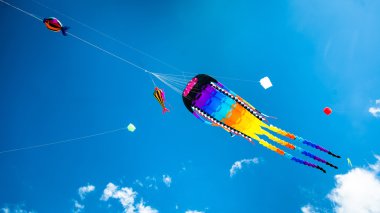Gökyüzünde uçan çeşitli uçurtmalar