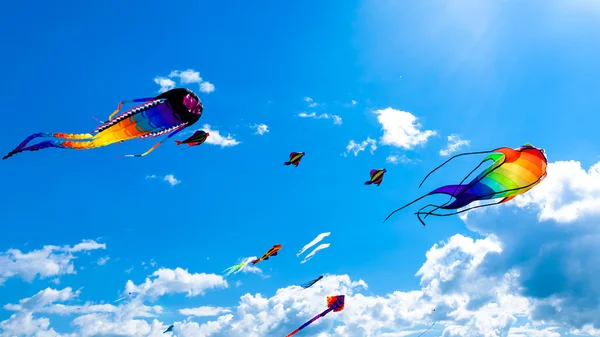 Olika drakar flyger på himlen — Stockfoto