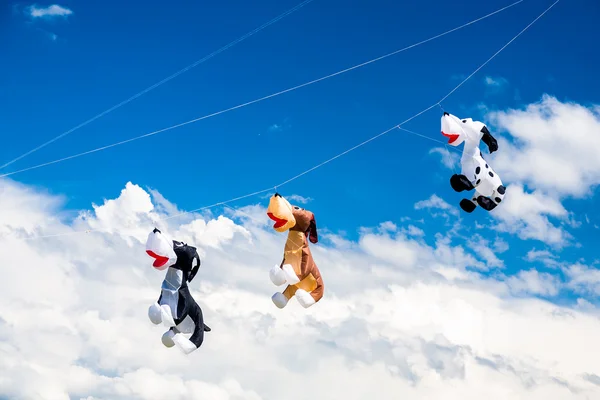 Três papagaios de cão voando no céu — Fotografia de Stock