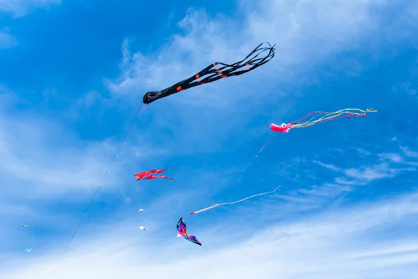 Verschiedene Drachen fliegen am Himmel — Stockfoto