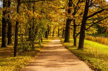 Sabahları sonbahar Park Road