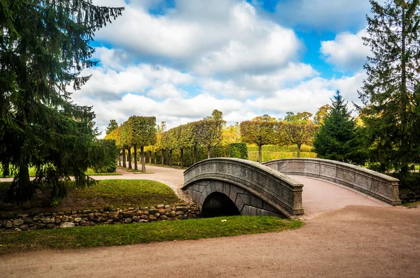 Sonbahar catherine Park kemer köprü ve balık kanal