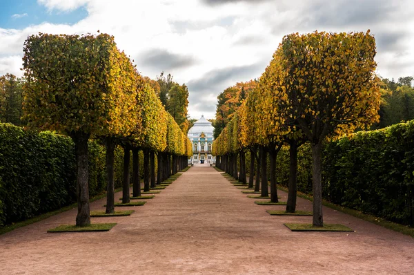 Hermitage sonbahar Catherine parkta