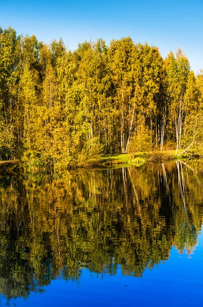 Sonbahar ağaçlar ve gölet su yansıması