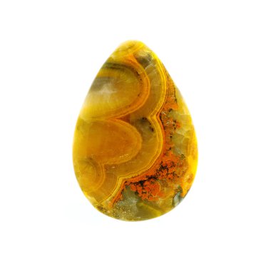 İzole Bumblebee Jasper