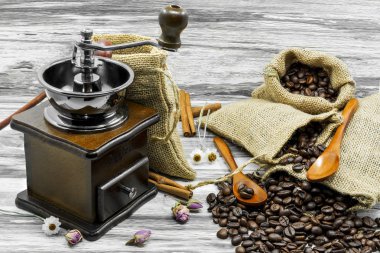 kahve çekirdekleri natürmort