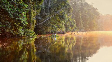 Güzel bir göl sabahı