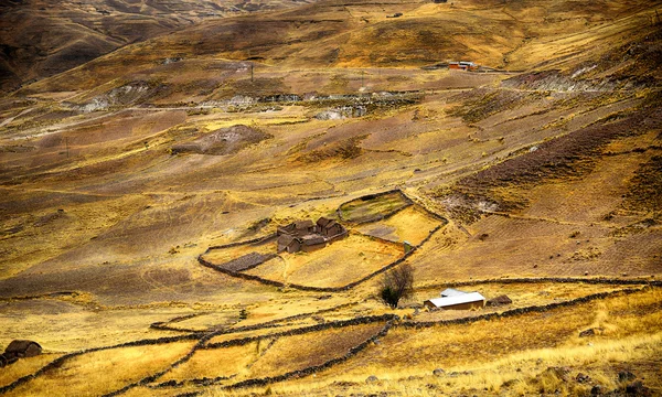 Yellow landscape of Peru — Stock Photo, Image