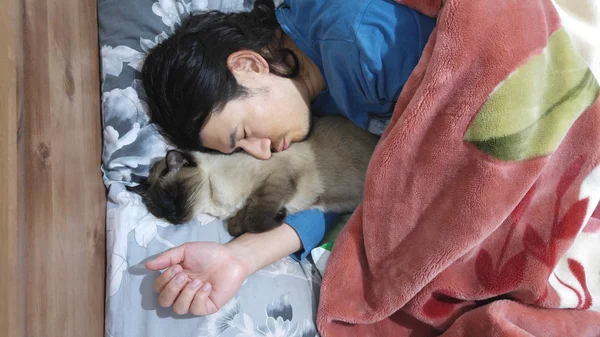 Adam ile onun kedi uyur