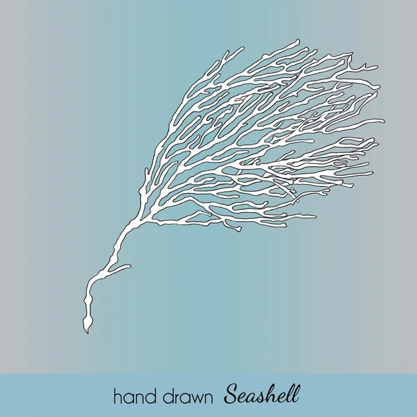 Hand drawn seashell. Branch of Coral. Vector illustration for tr — Stock Vector