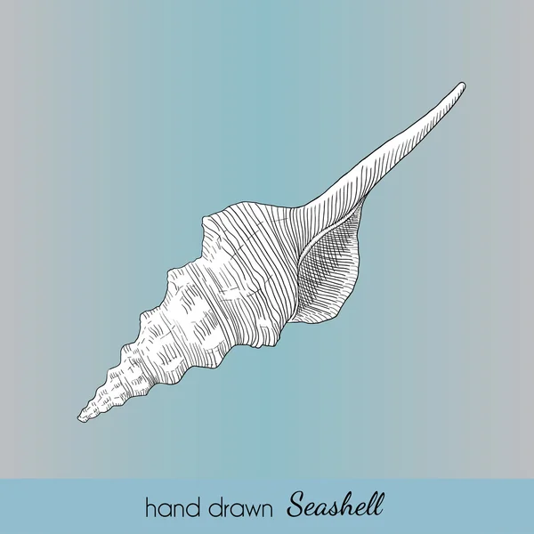 Hand drawn vector seashell. Nautical illustration for travel card — Stock Vector
