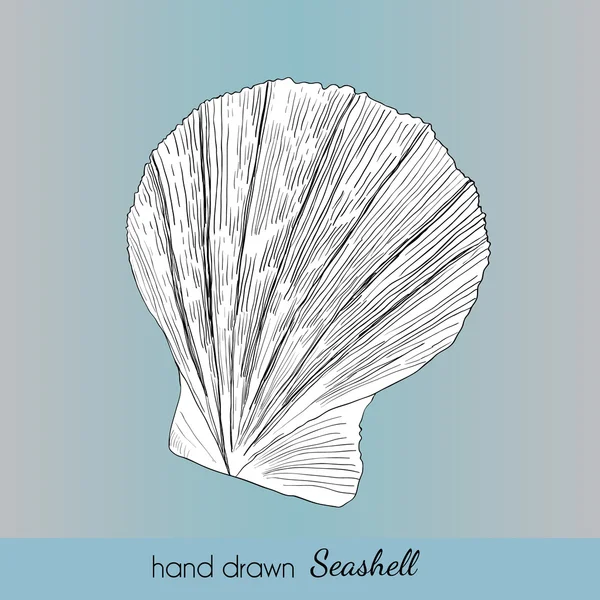 Hand drawn marine seashell. Vector illustration for travel card, — Stock Vector