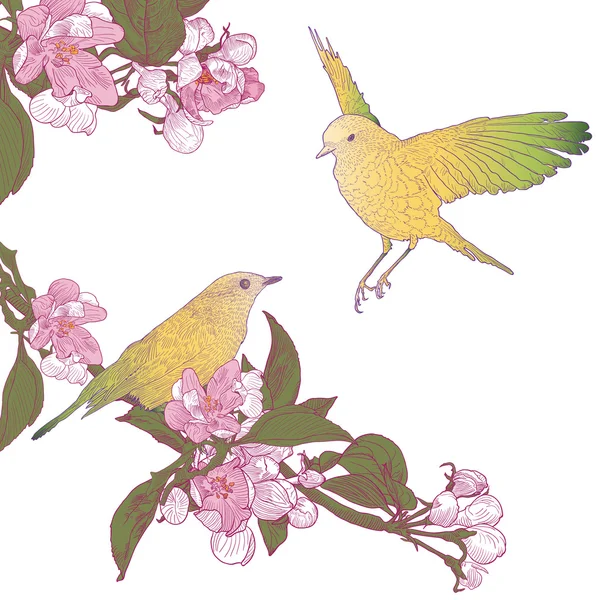 Ramoscelli di melo in fiore e due uccelli seduti su ramoscelli . — Vettoriale Stock
