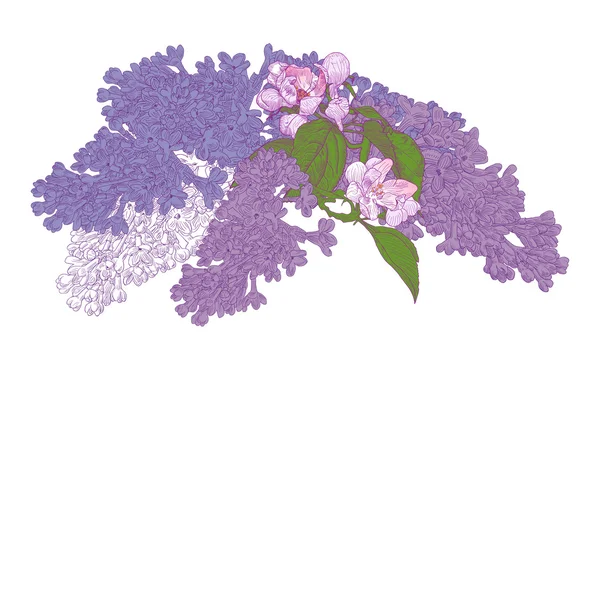 Tarjeta de felicitación con flores de lila y ramas de manzano . — Vector de stock