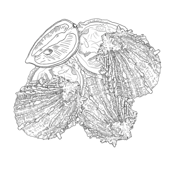 Ręcznie rysowane ostryg z cytryną. Owoce morza. — Wektor stockowy