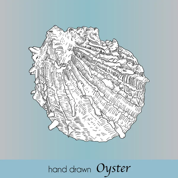 Hand getrokken oester met overzicht en opvulling. Zeevruchten. Vector. — Stockvector