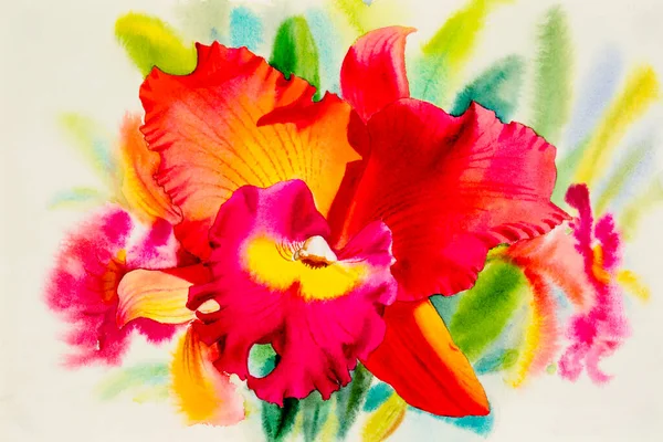 Watercolor painting original realistic orange pink red color of orchid flower beauty in spring summer season and emotion abstract background. Hand painted  illustration.