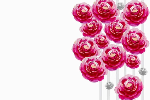 Акварельний Живопис Рожевих Троянд Емоції Білому Тлі Пофарбовані Вручну Ілюстрації — стокове фото