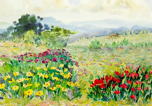 Pintura Acuarela Original Paisaje Colorido Flores Silvestres Casa Campo Jardín — Foto de Stock