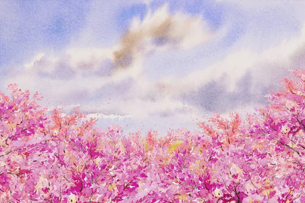 Fond Abstrait Fleurs Roses Aquarelle Peinture Illustration Coloré Naturel Cerisier — Photo