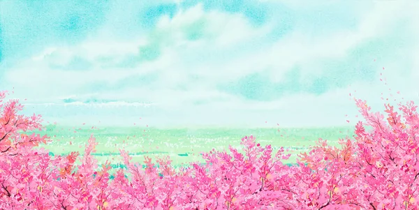 Aquarel Landschap Schilderen Panorama Kleurrijk Van Kersenbloesem Boom Natuurlijke Schoonheid — Stockfoto