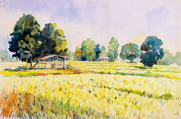 Akwarela Krajobraz Oryginalny Obraz Papierze Kolorowe Pole Domku Ryżu Godzinach — Zdjęcie stockowe