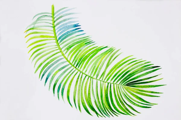 Trendi Nyári Trópusi Pálmalevelek Akvarell Festmény Illusztráció Papíron Trópusi Lombozat — Stock Fotó