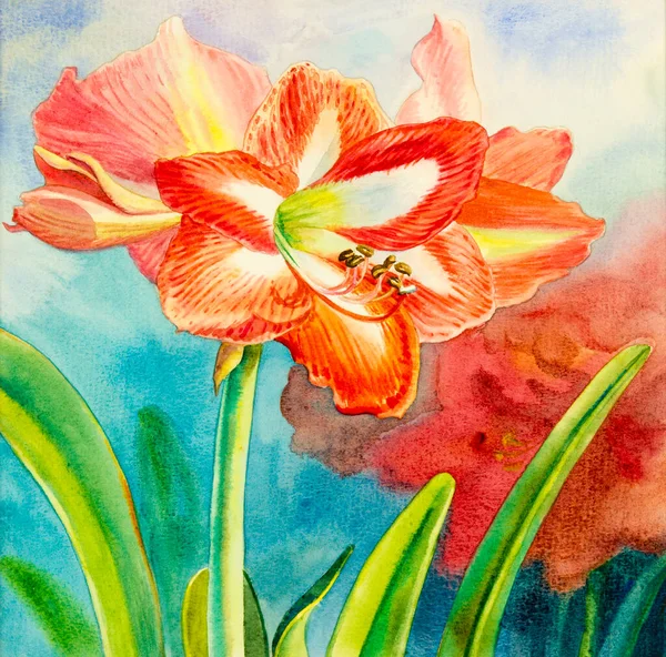 Watercolor Painting Original Realistic Red Flower Amaliris Lily Flower Green — Stock Photo, Image