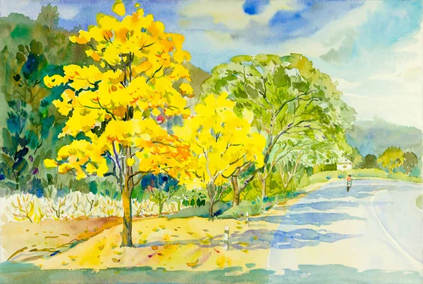水彩画元の風景黄色 空と雲の背景に黄金の木の花のオレンジ色 美しい自然を手描き春の季節 — ストック写真