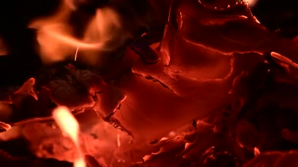 Nahaufnahme Eines Brennenden Lagerfeuers Nächtliches Lagerfeuer Baumstämme Sperrholz Und Stoff — Stockvideo