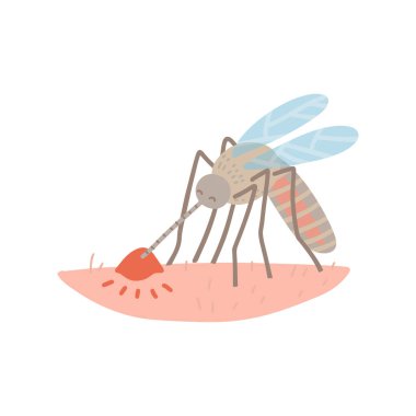 A mosquito on human skin sucking blood. Isolated Vector flat hand drawn illustration vector A mosquito on human skin sucking blood. Isolated Vector flat hand drawn illustration vector