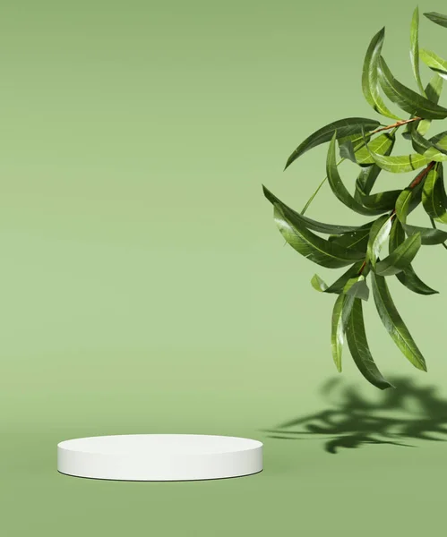 Doğal kozmetik ürünler için vitrin podyumu. Tek renkli arka planda yeşil yapraklı boş bir sahne. 3d hazırlayıcı