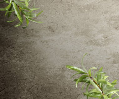 Yapraklı mutfak masası. Ürün sunumu için arka plan. 3d illüstrasyon.