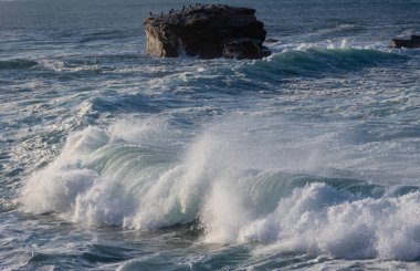 Büyük dalgaları fotoğraflamak, denizde uçan kuşları ve dolunayı.! 