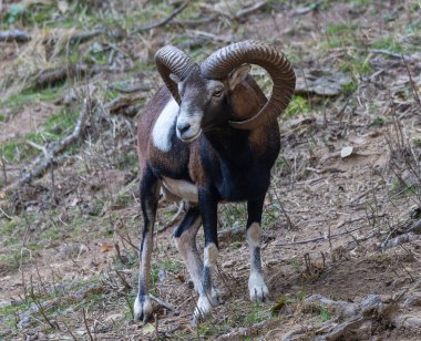 Lacuniacha Vahşi Yaşam Parkı 'nda sonbahar yürüyüşü!