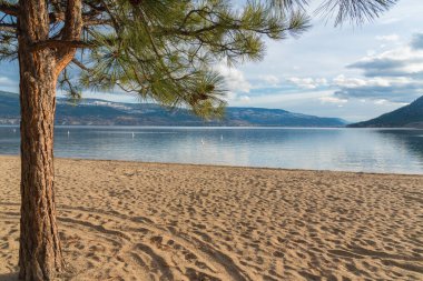 Kış manzaralı kumsal ve Summerland 'daki Okanagan Gölü