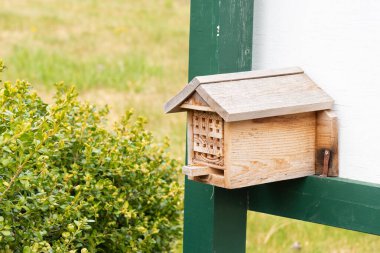 Bahçedeki arı yuvası, yabani arılara yaşam alanı sağlıyor.