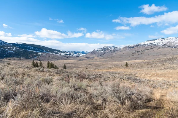 Prati Naturali Della Valle Okanagan Con Montagne Innevate Cielo Blu — Foto Stock