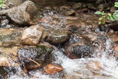 Narata Deresi 'ndeki suyun yakın çekim alanı Narata, British Columbia, Kanada' daki renkli nehir kayalarının üzerinden geçiyor.