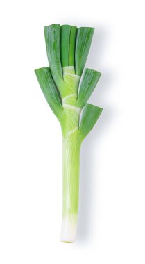 Beyaz Arkaplanda Yeşil Japon Bunching Onion. en üstteki görünüm