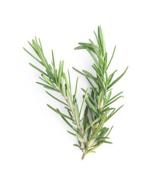 Biberiye beyaz arkaplanda izole edildi, Üst görünüm.