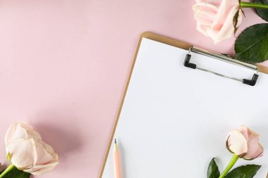 Açık pembe arka planda pembe güllerle pano modeli. Boşluğu kopyala.