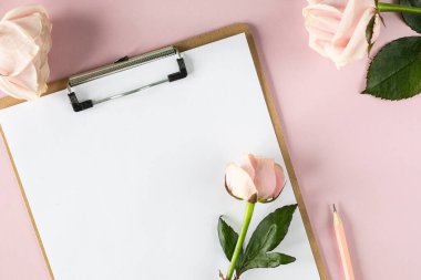 Açık pembe arka planda pembe güllerle pano modeli. Boşluğu kopyala.