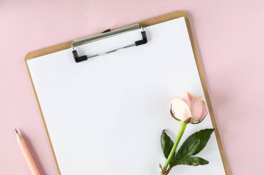 Açık pembe arka planda pembe güllerle pano modeli. Boşluğu kopyala.