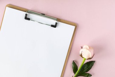 Açık pembe arka planda pembe güllerle pano modeli.