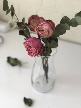 Vazoda solmuş güller, yumuşak bir özenle sunulur.