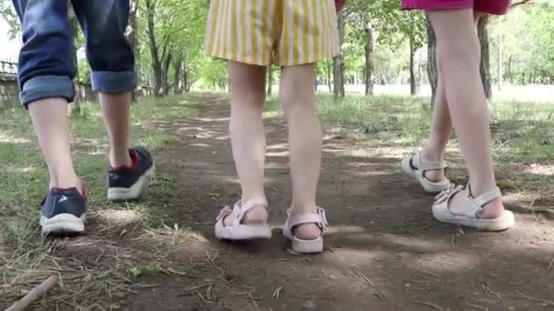 Back View Children Holding Hands Walking Park — стоковое видео