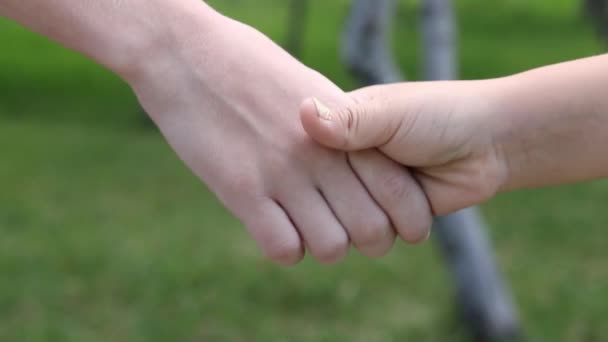 Young Children Shaking Hands — Vídeo de Stock