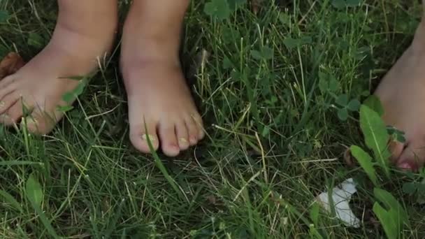 Pohybující Bosé Prsty Blízko Bosých Nohou Děti Odpočívající Trávě — Stock video